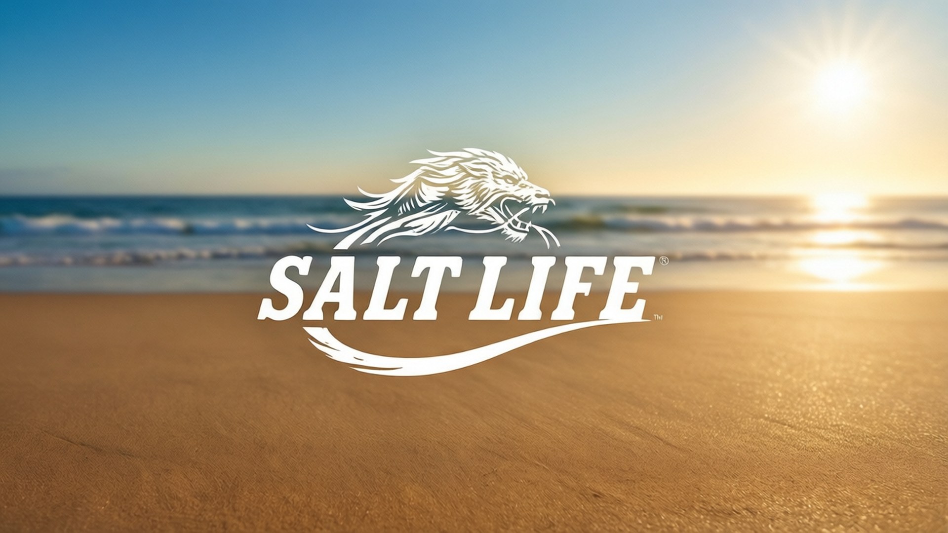 日落時分海灘上的Salt Life標誌，伴有海浪和明亮的太陽。