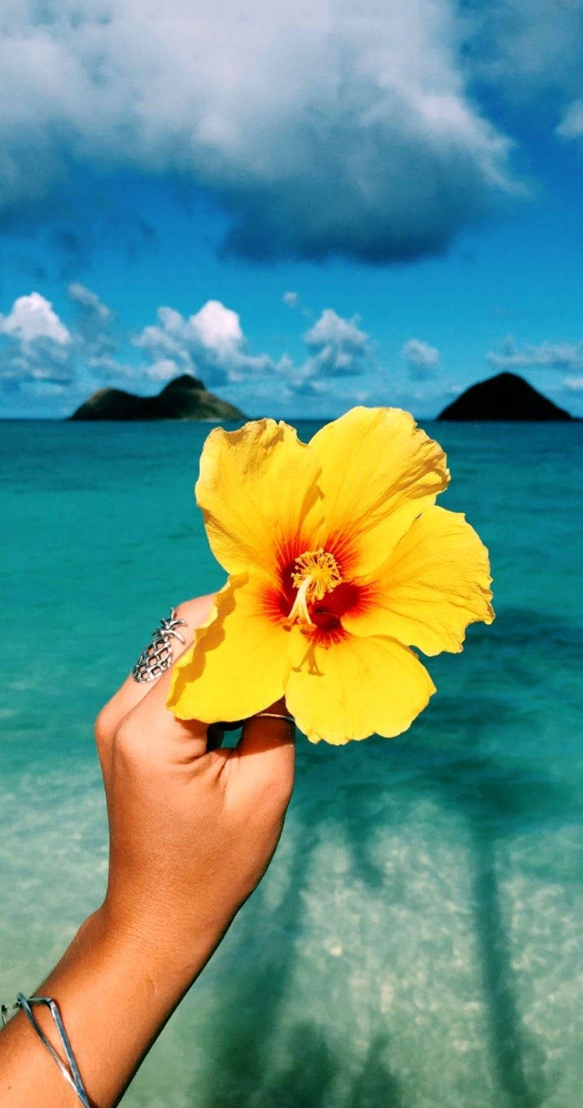 在熱帶海灘上，手拿黃色芙蓉花，背景是藍綠色海水和火山島嶼。