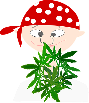 海盜卡通大麻葉圖案 壁紙