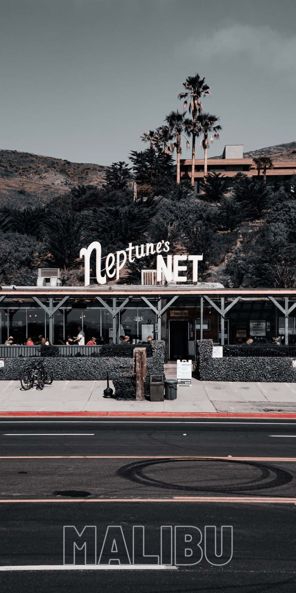 Neptune's Net 餐廳位於沿海街道，背景有棕櫚樹和山丘。