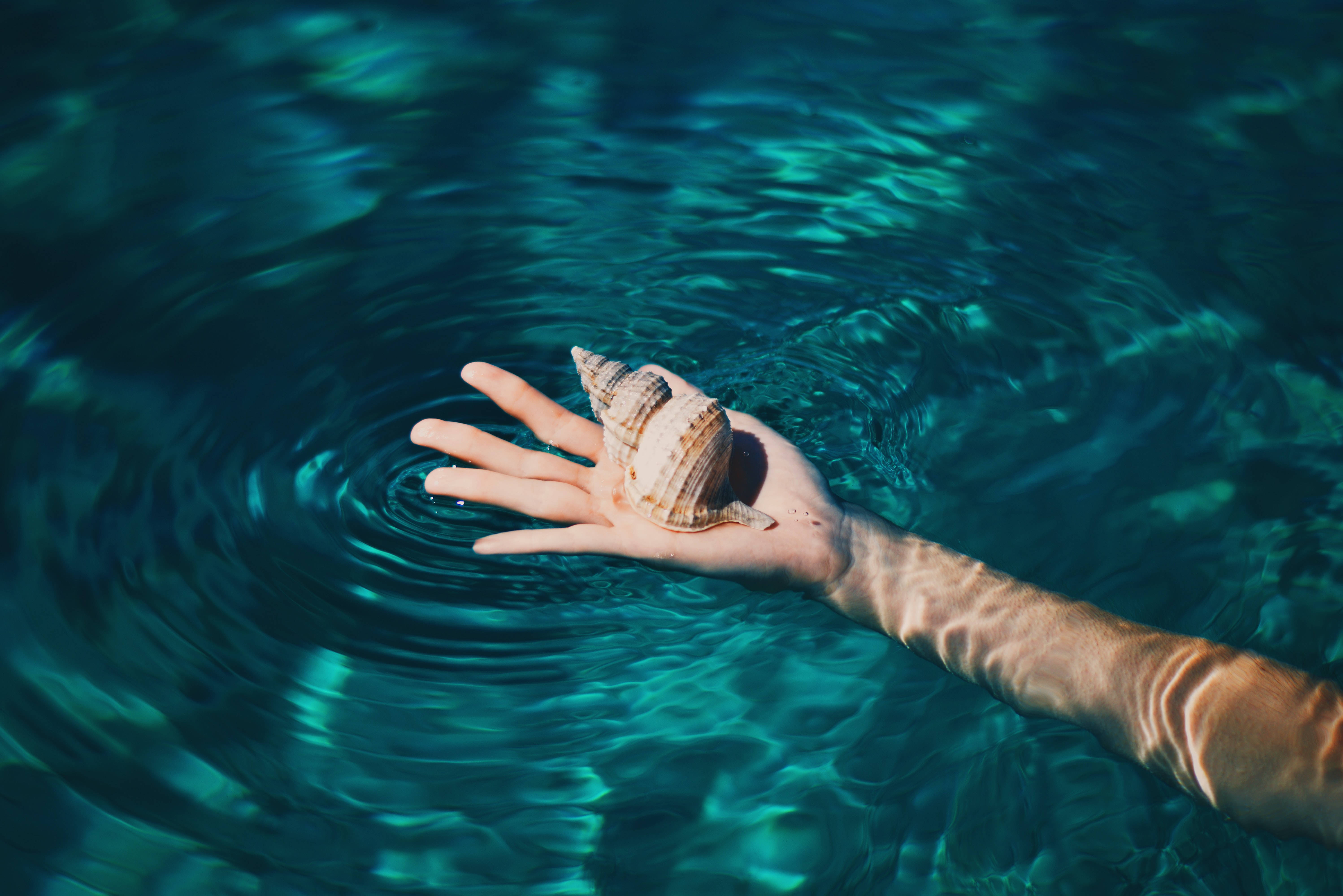 海螺殼Tumblr桌面壁紙 壁紙 — 一隻手從藍綠色水中伸出，握著一個螺旋貝殼，在水面泛起輕柔漣漪。