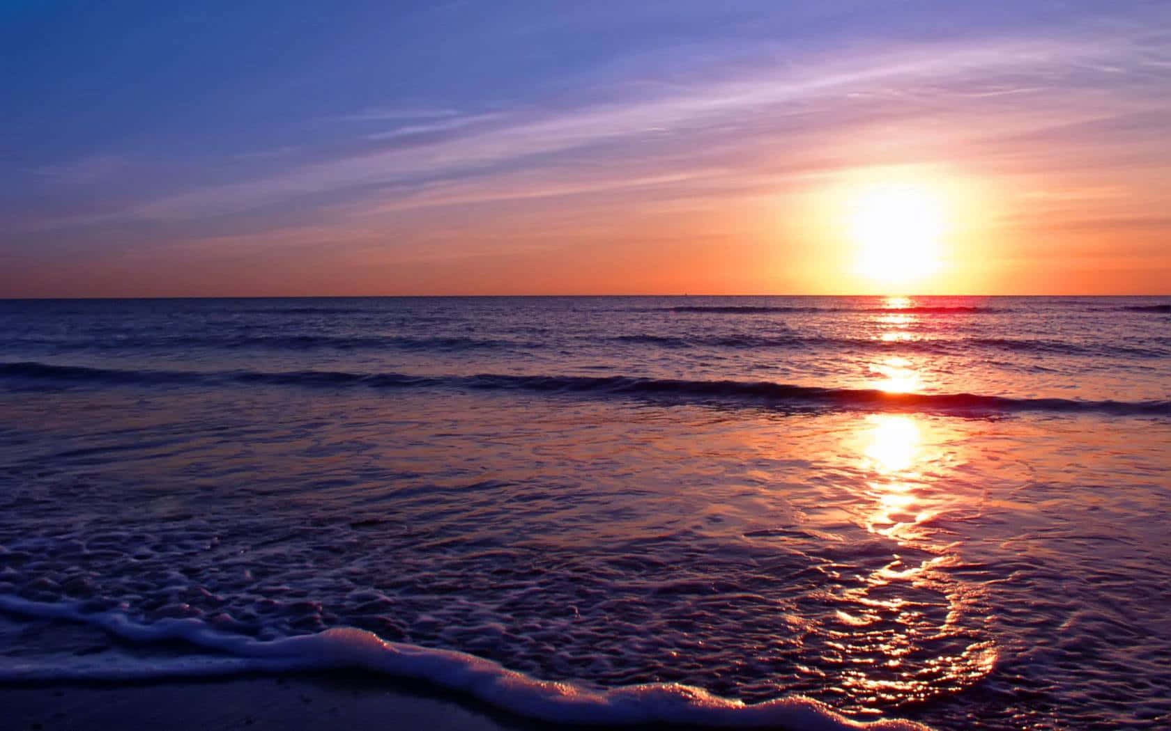 海豚在壯麗日落背景下悠遊的神奇時刻 壁紙 — 夕陽將海洋染成火熱的橙色和紫色，溫柔的海浪在柔和的暮色天空下輕拍著海岸。