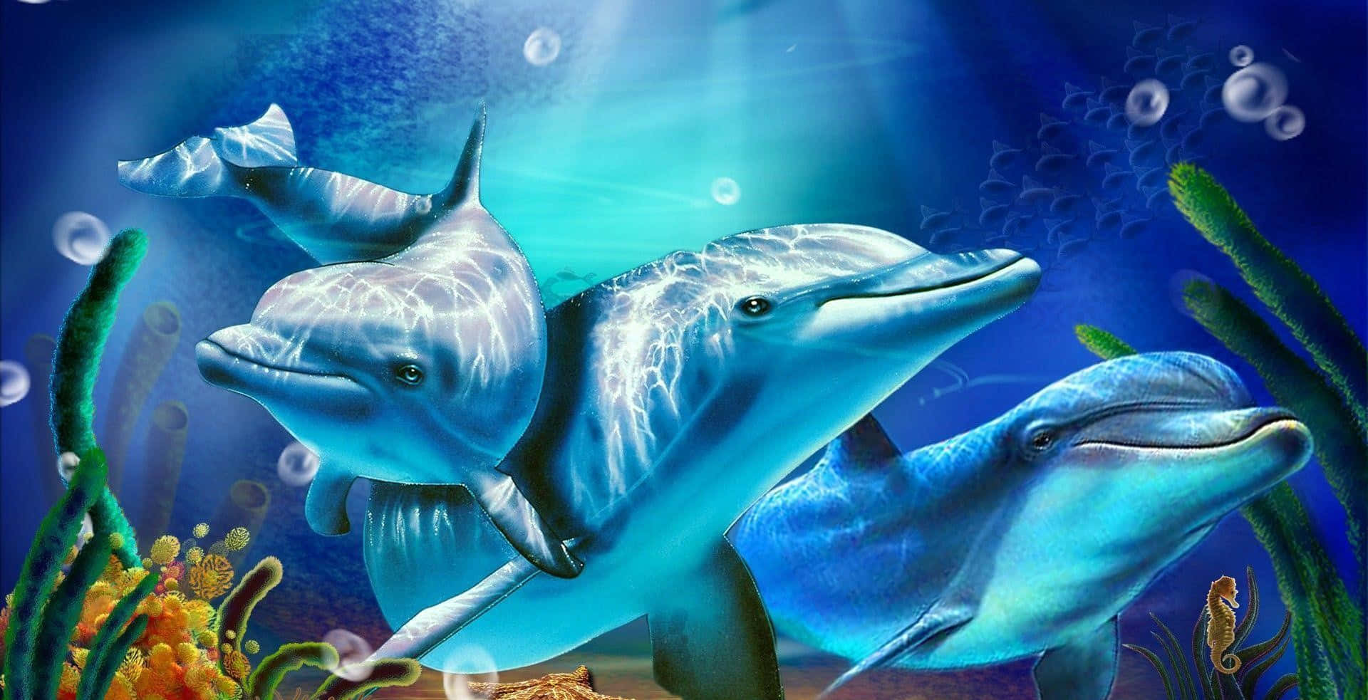 三條海豚喺珊瑚礁附近游水，氣泡上升