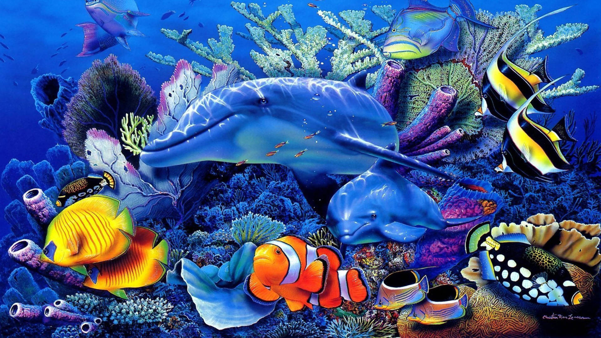 兩條海豚滑過充滿熱帶魚的珊瑚礁。