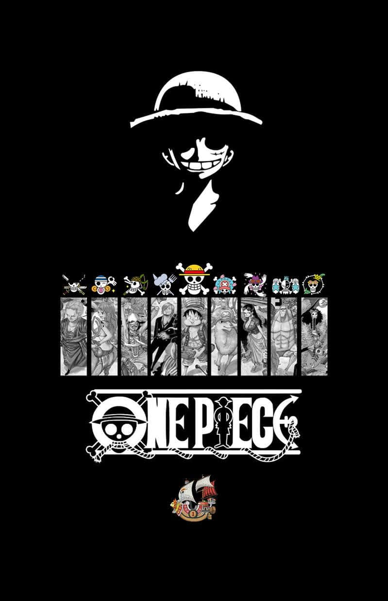 One Piece動畫標誌，帶有路飛剪影和角色肖像。
