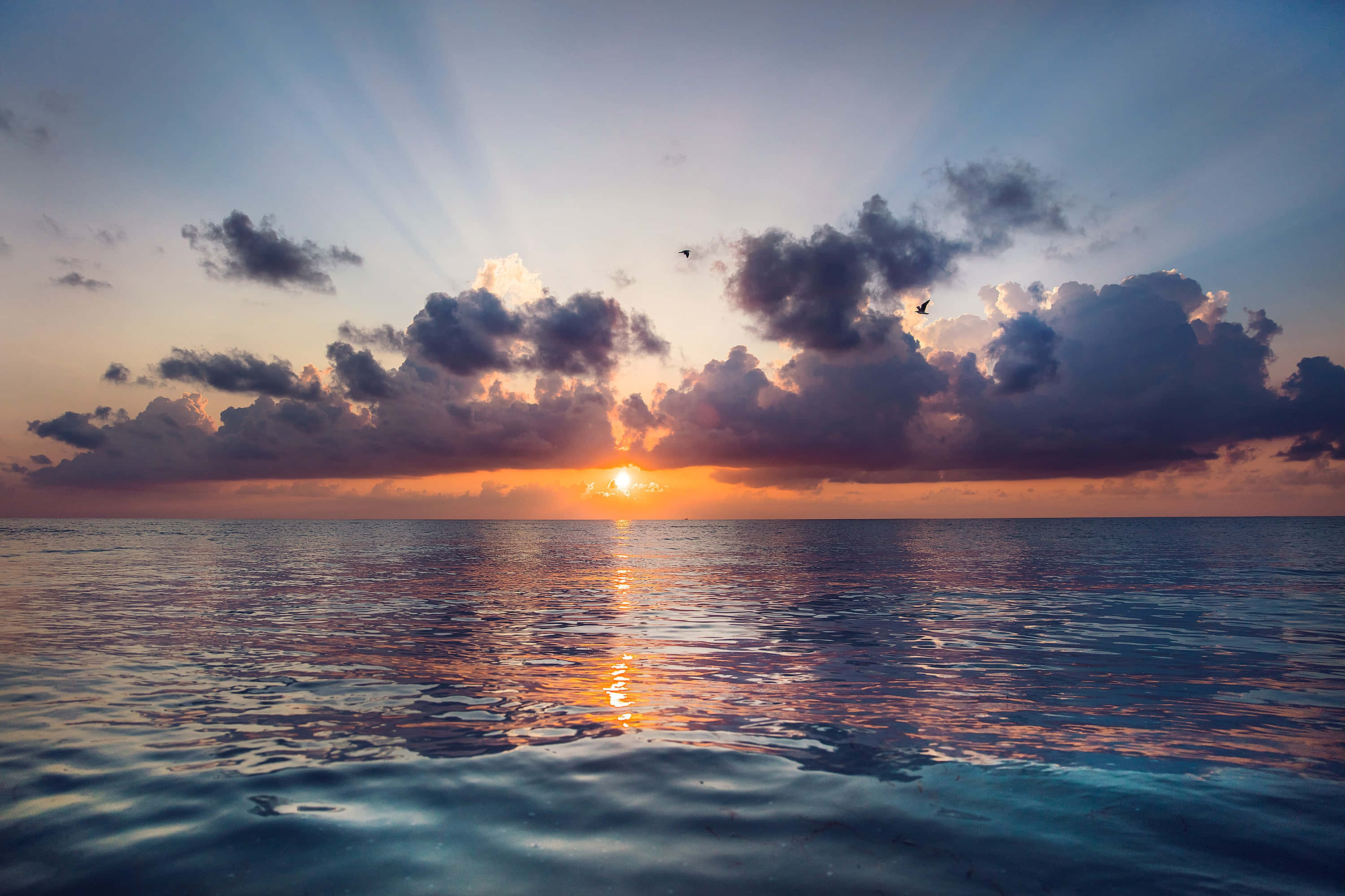 海面日落與雲彩 壁紙 — 平靜海洋上的日落，戲劇性的雲彩和飛鳥，金色光芒反射在漣漪水面上。