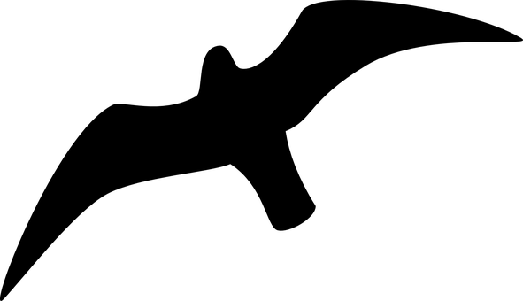 海鷗剪影映襯天空 壁紙