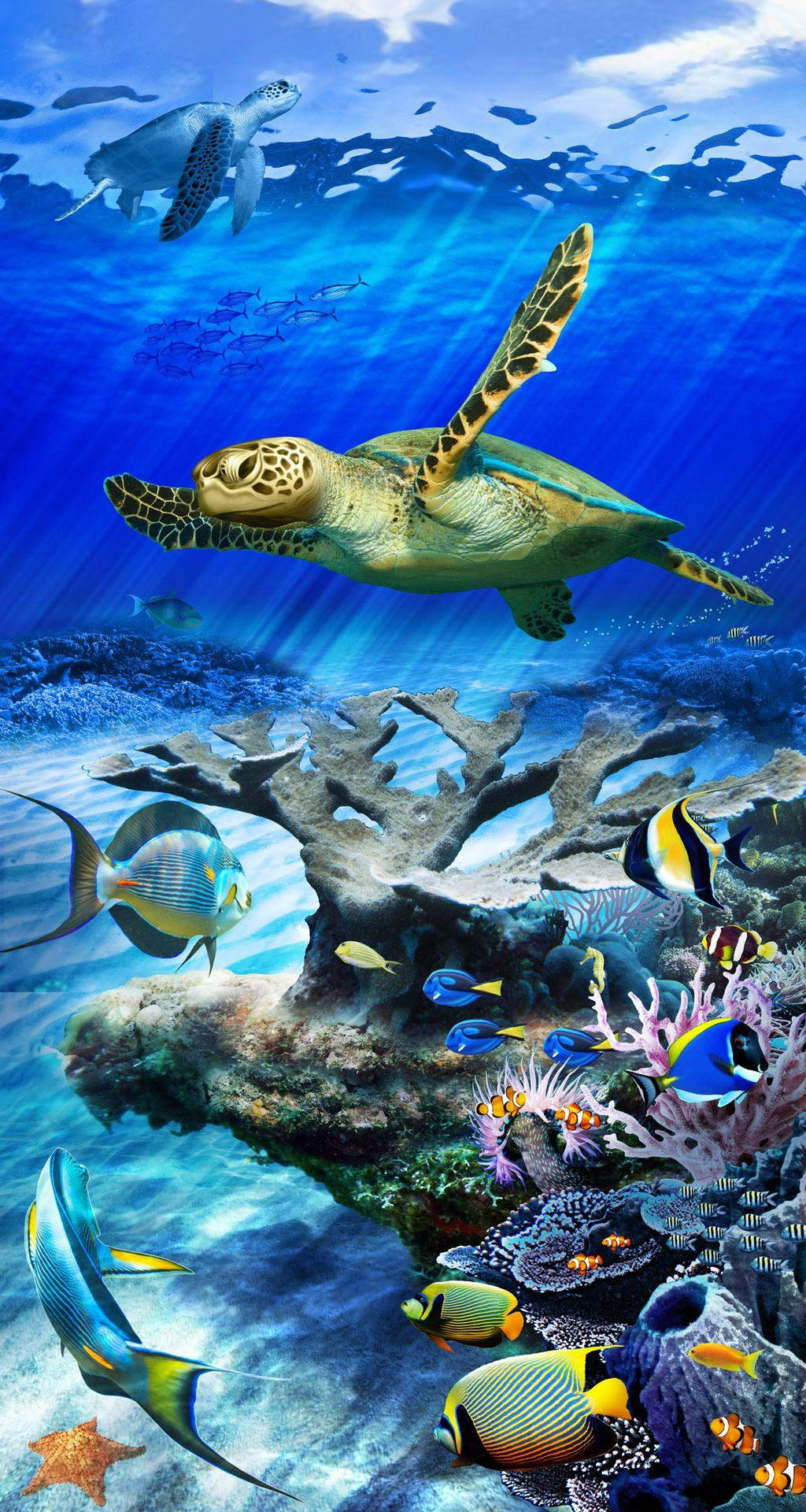 海龜在清澈的藍色海水中靠近珊瑚礁與熱帶魚一起游泳。