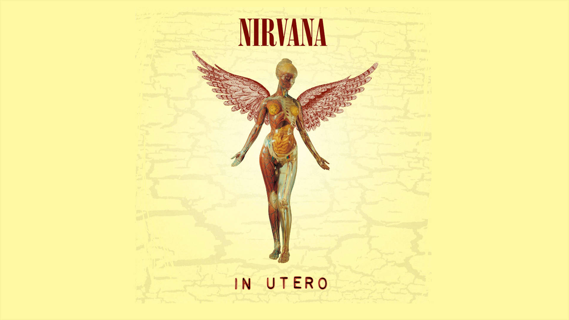 涅槃樂隊《In Utero》4K 專輯封面藝術 壁紙 — 一幅超現實插圖，描繪一個有翼人形生物，內臟外露，背景為龜裂的黃色。