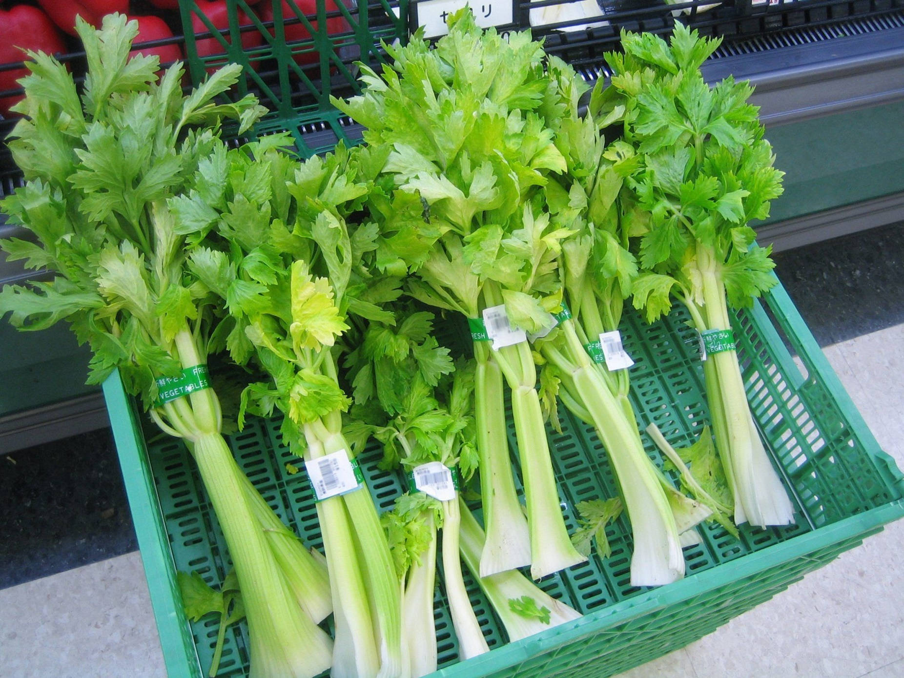 新鮮芹菜束放在帶有價格標籤的綠色雜貨店箱中。