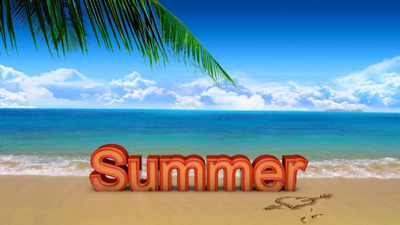 沙灘棕櫚樹下的夏日文字字母，海洋和天空