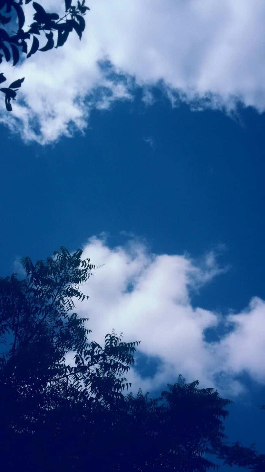 涼爽藍天，飄逸夢幻雲朵 壁紙 — 剪影般的樹枝框住了一片充滿蓬鬆白雲的鮮豔藍天。