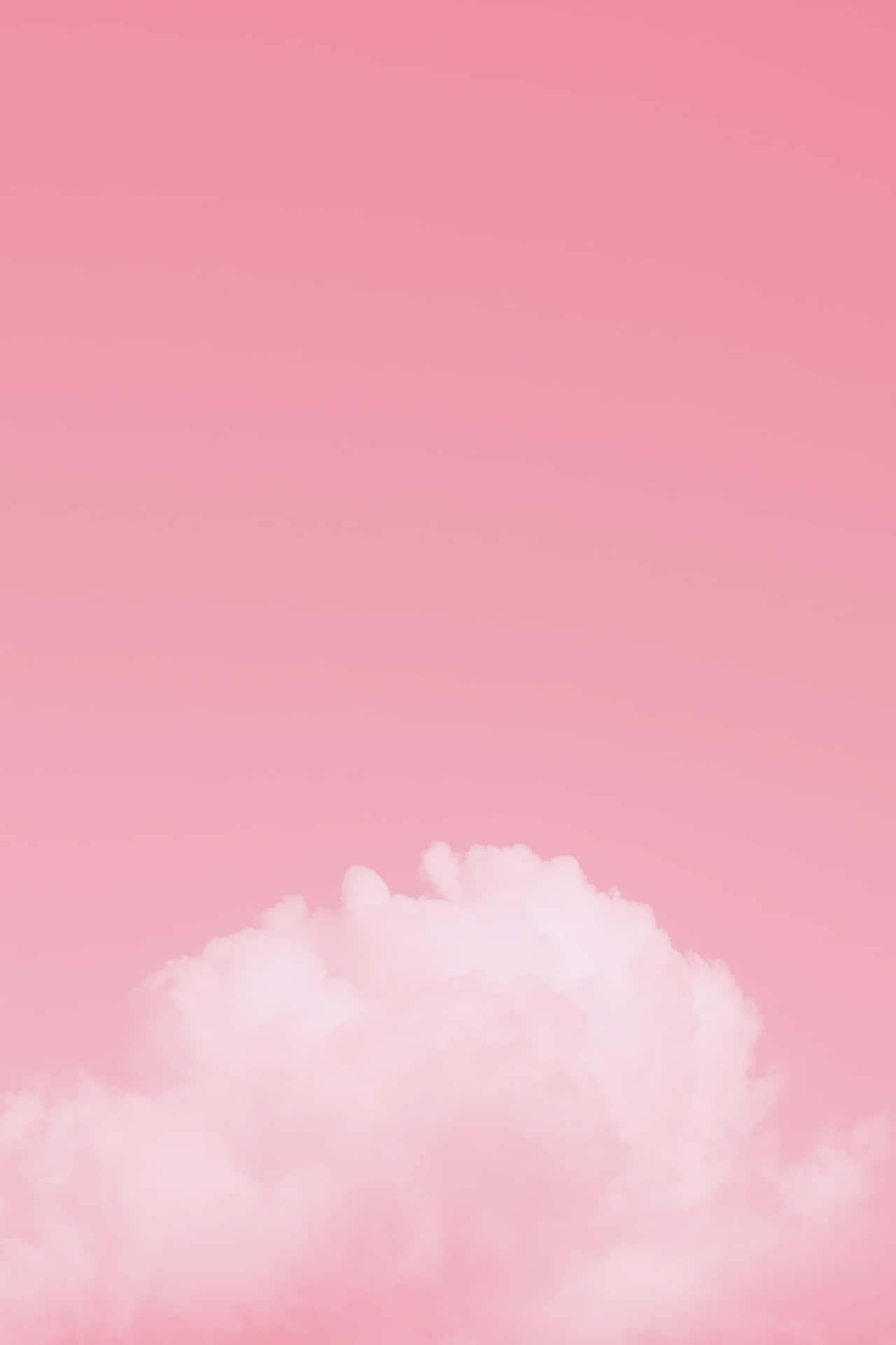 淡粉紅色厚雲背景 壁紙 — 一朵柔軟蓬鬆的雲朵在漸變粉紅色的天空中，營造出夢幻極簡的氛圍。
