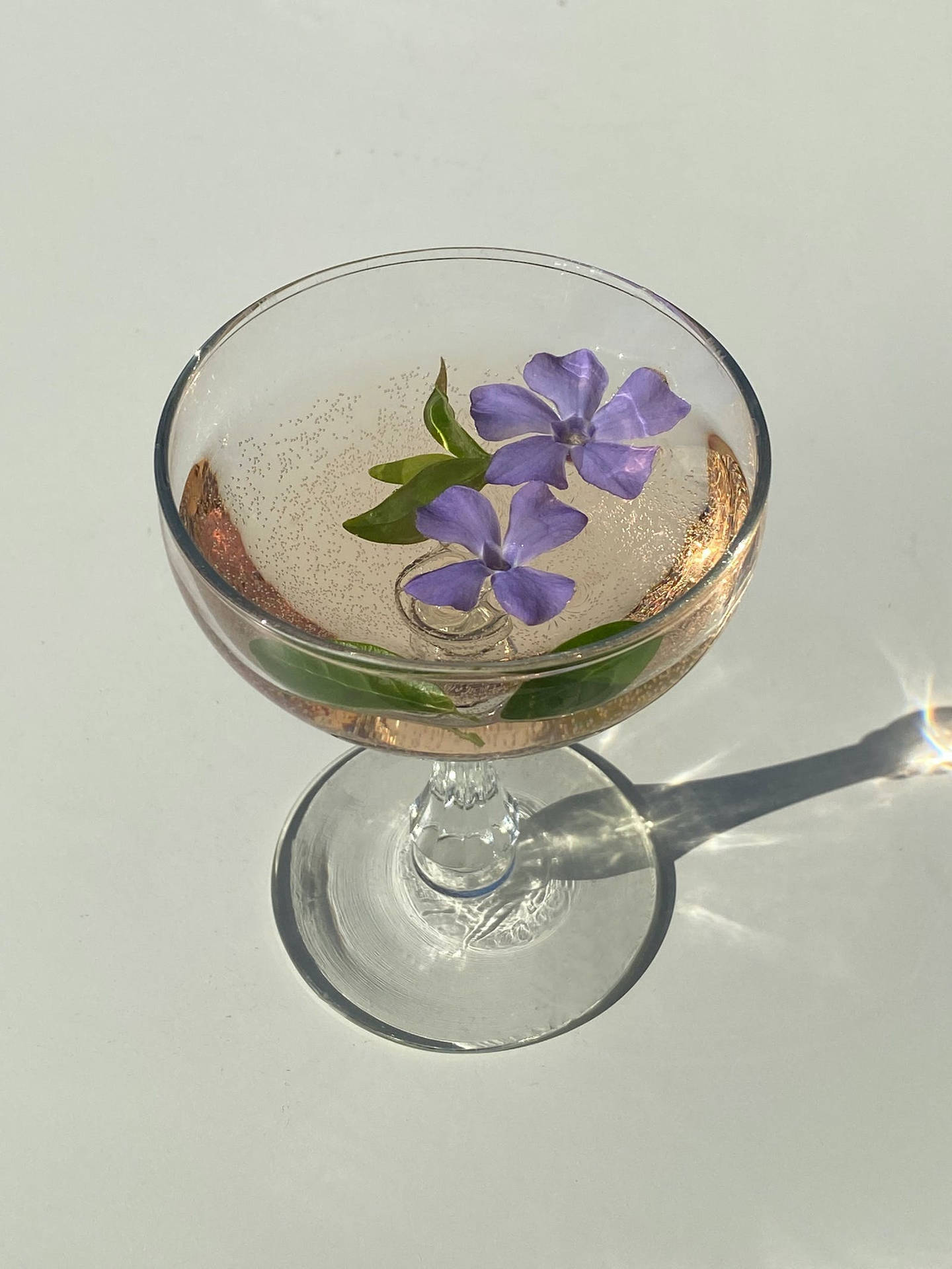 一個雞尾酒杯，在閃亮的飲料中有紫色花朵和綠色葉子，在陽光下。