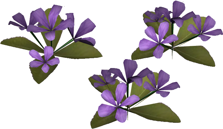 淡紫色花朵透明背景 壁紙 — 三簇鮮豔的紫色花朵配以綠葉，在純黑背景上漂浮。