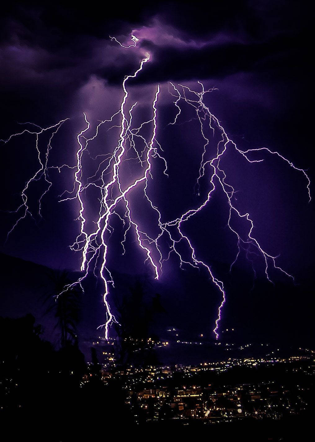 淡紫色閃電掠過城市 壁紙 — 一道巨大的紫色閃電在暴風雨的夜空中分叉，下方是剪影般的城市景觀，遠處燈光閃爍。
