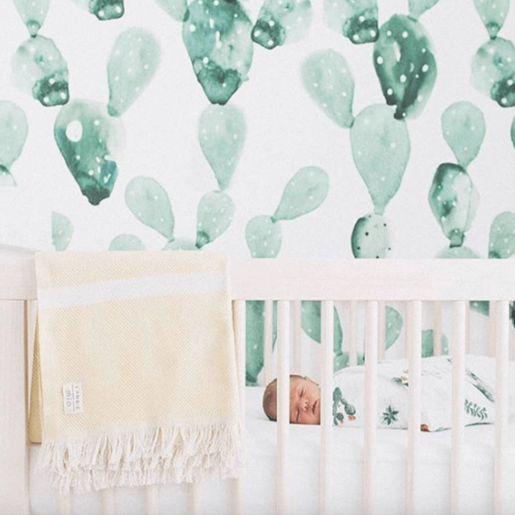 淡綠仙人掌 nursery 壁紙 — 一個寧靜的新生兒睡在白色嬰兒床裡，上方是柔和綠色調的水彩仙人掌圖案壁紙。
