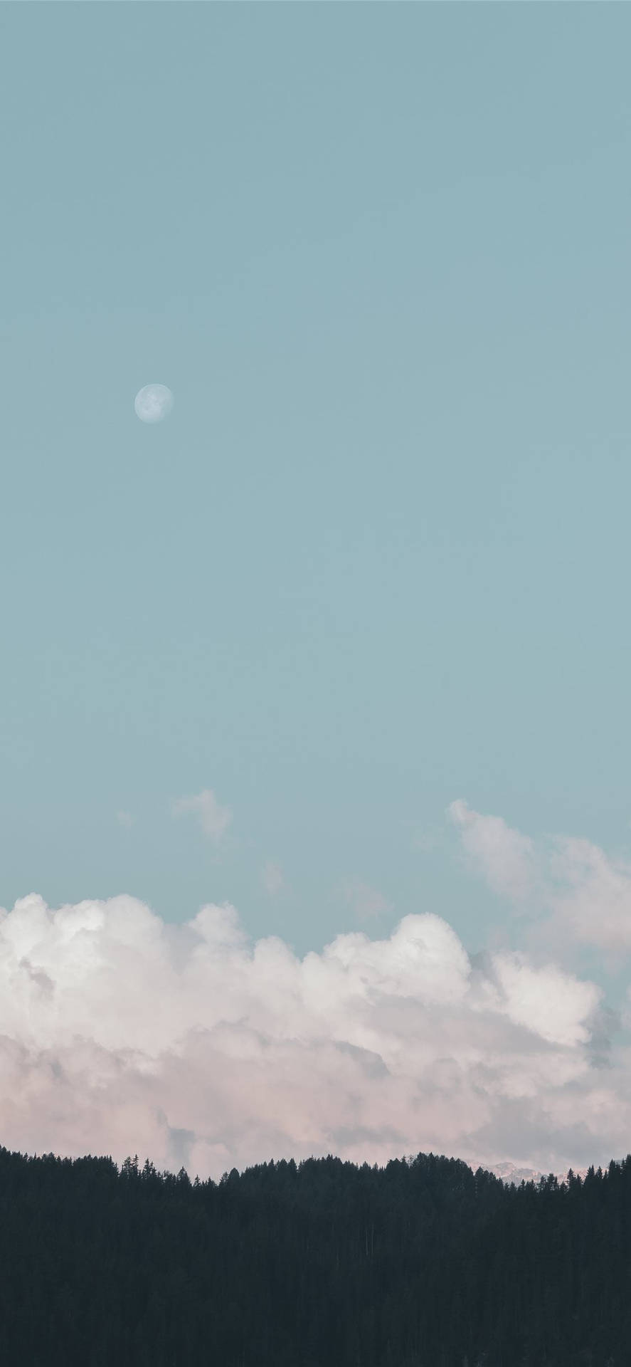 月亮在粉紅雲朵之上，籠罩著黑暗森林，黃昏時分