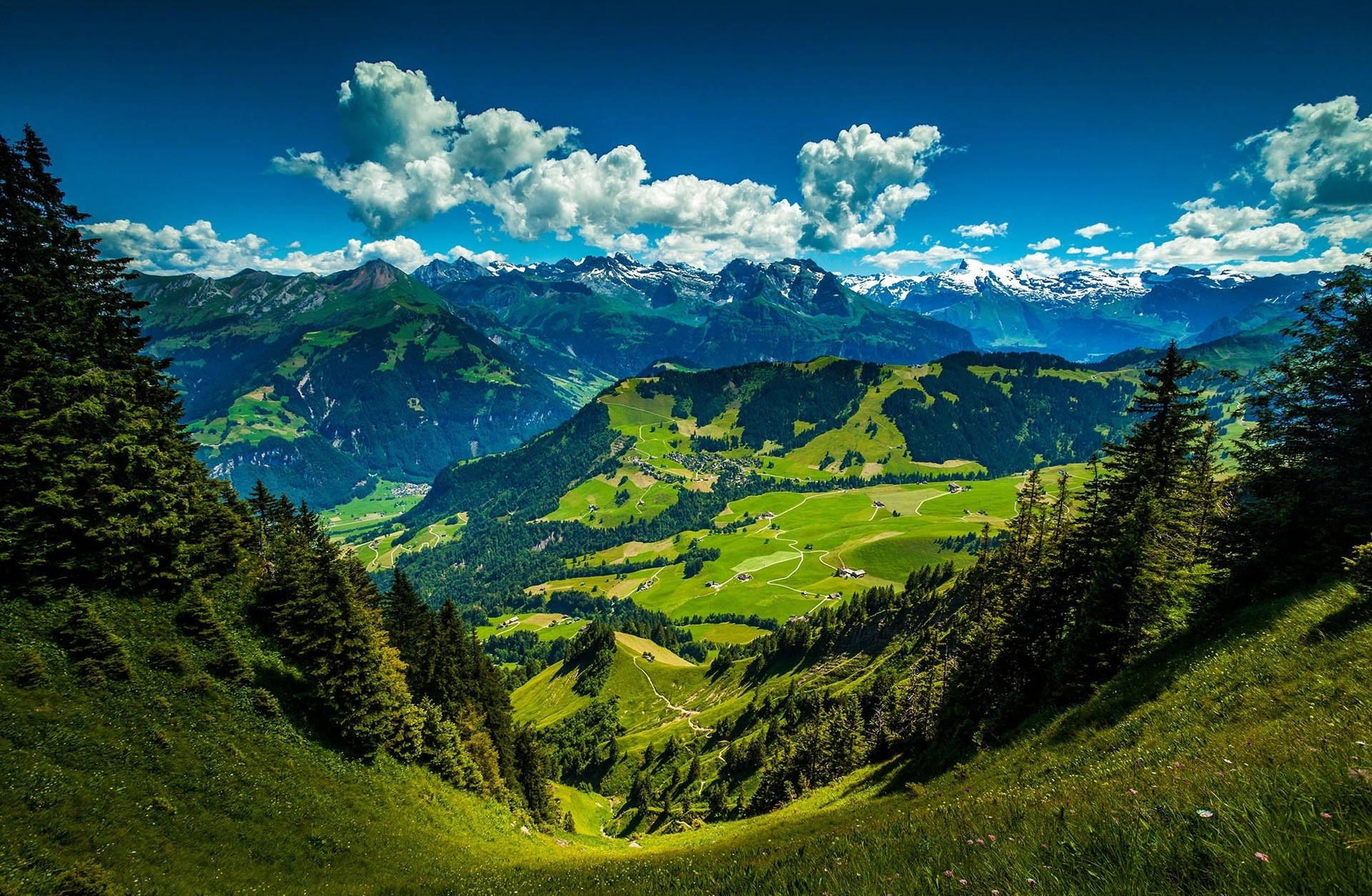 藍天下，白雪覆蓋的山脈和松樹環繞的鬱鬱蔥蔥山谷全景。