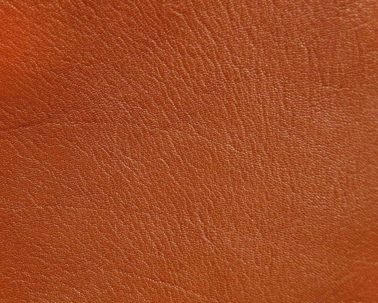 Brown Leather 桌布 壁紙 — 深棕色皮革的特寫，具有天然紋理和細微的縫線細節。