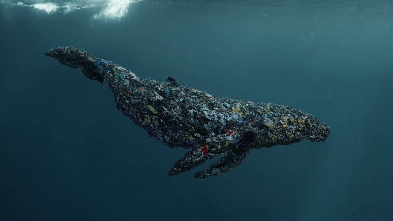 深海中的優雅巨獸 壁紙 — 一條由塑膠廢料製成的鯨魚在渾濁的海水中滑行，陽光從上方過濾而下。