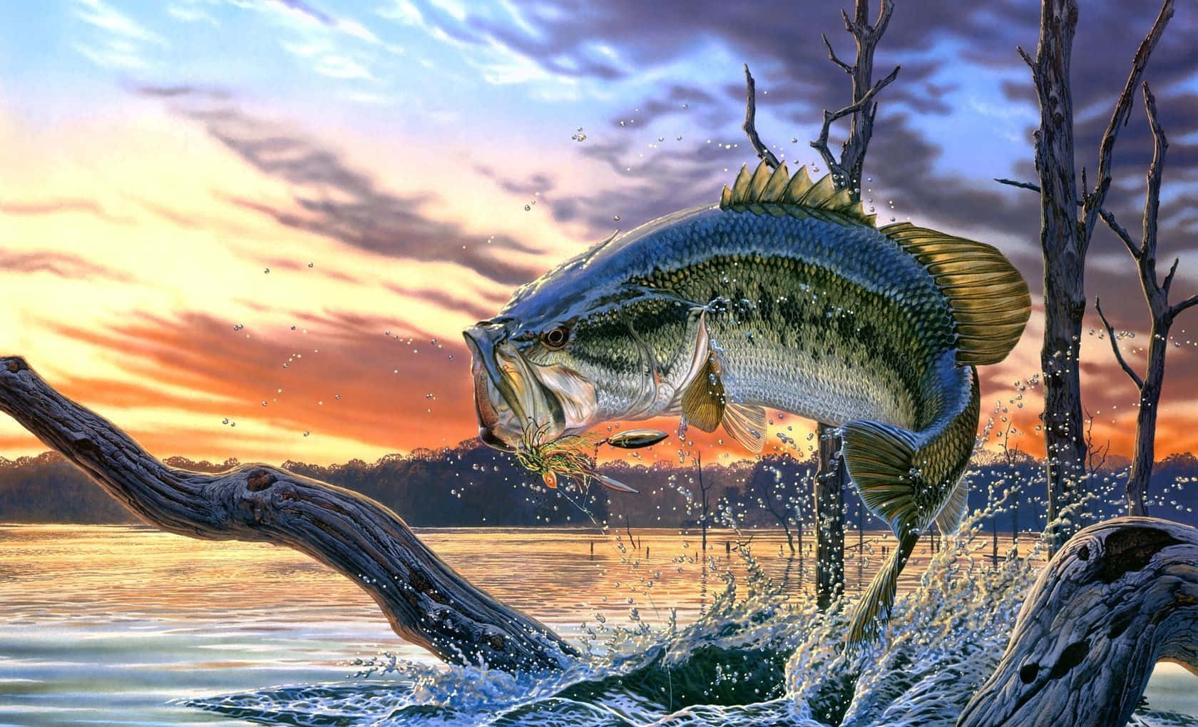 一條大鱸魚在日落時從湖中躍起，水花在光禿的樹木周圍飛濺。