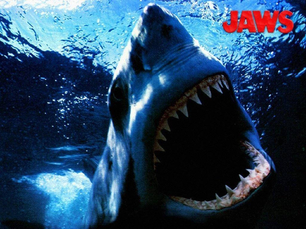 大白鯊在水下張開嘴巴，電影《JAWS》海報。