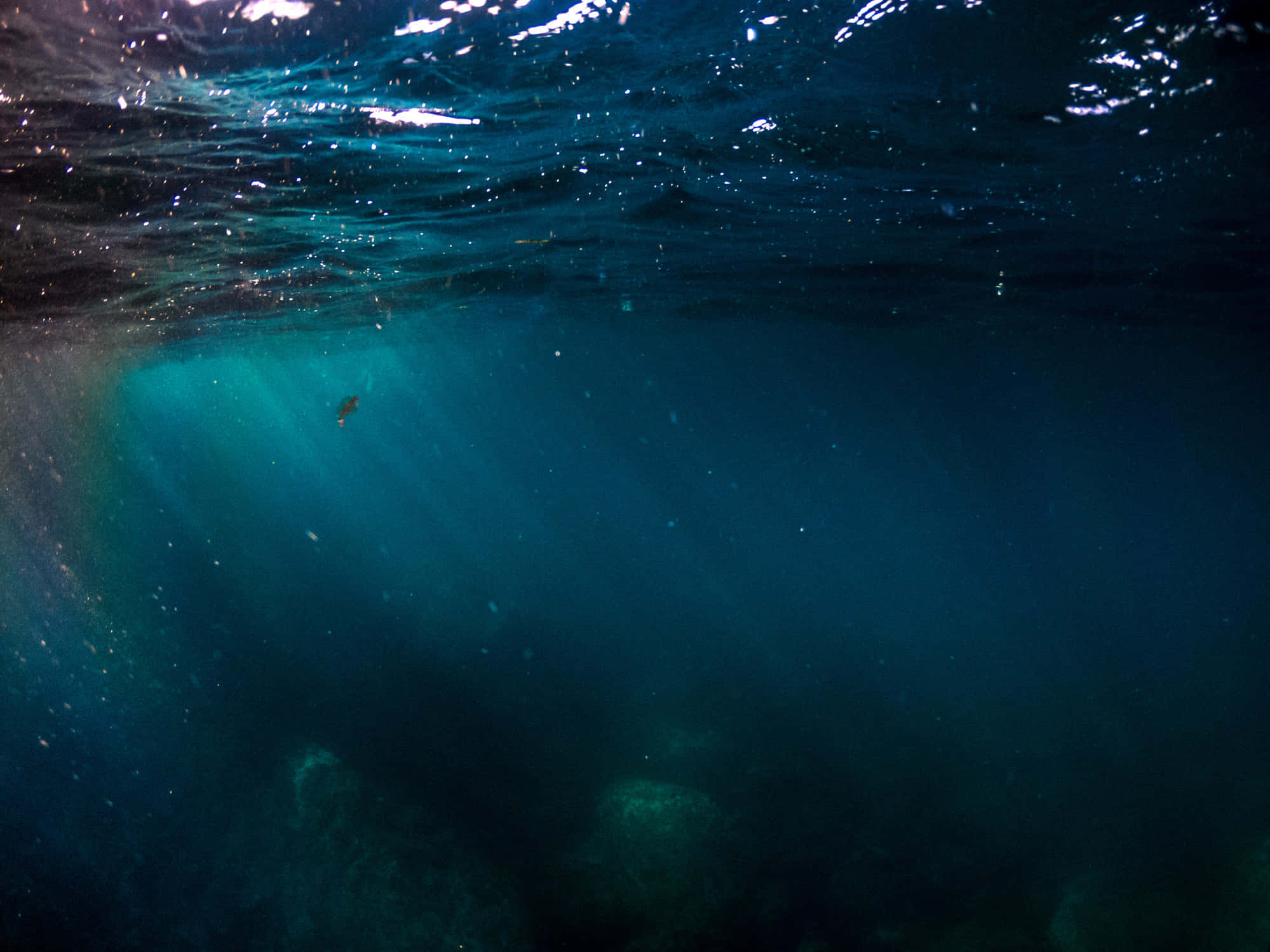 深海潛藏的神秘生物 壁紙 — 陽光穿透碧綠的海面，照亮了漂浮的微粒和下方的岩石。