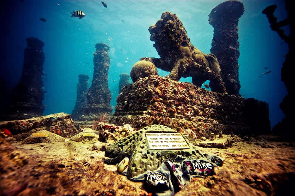 深海的神秘海洋在等待 壁紙 — 水下遺跡，有獅子雕像和魚在藍色海洋深處游動。