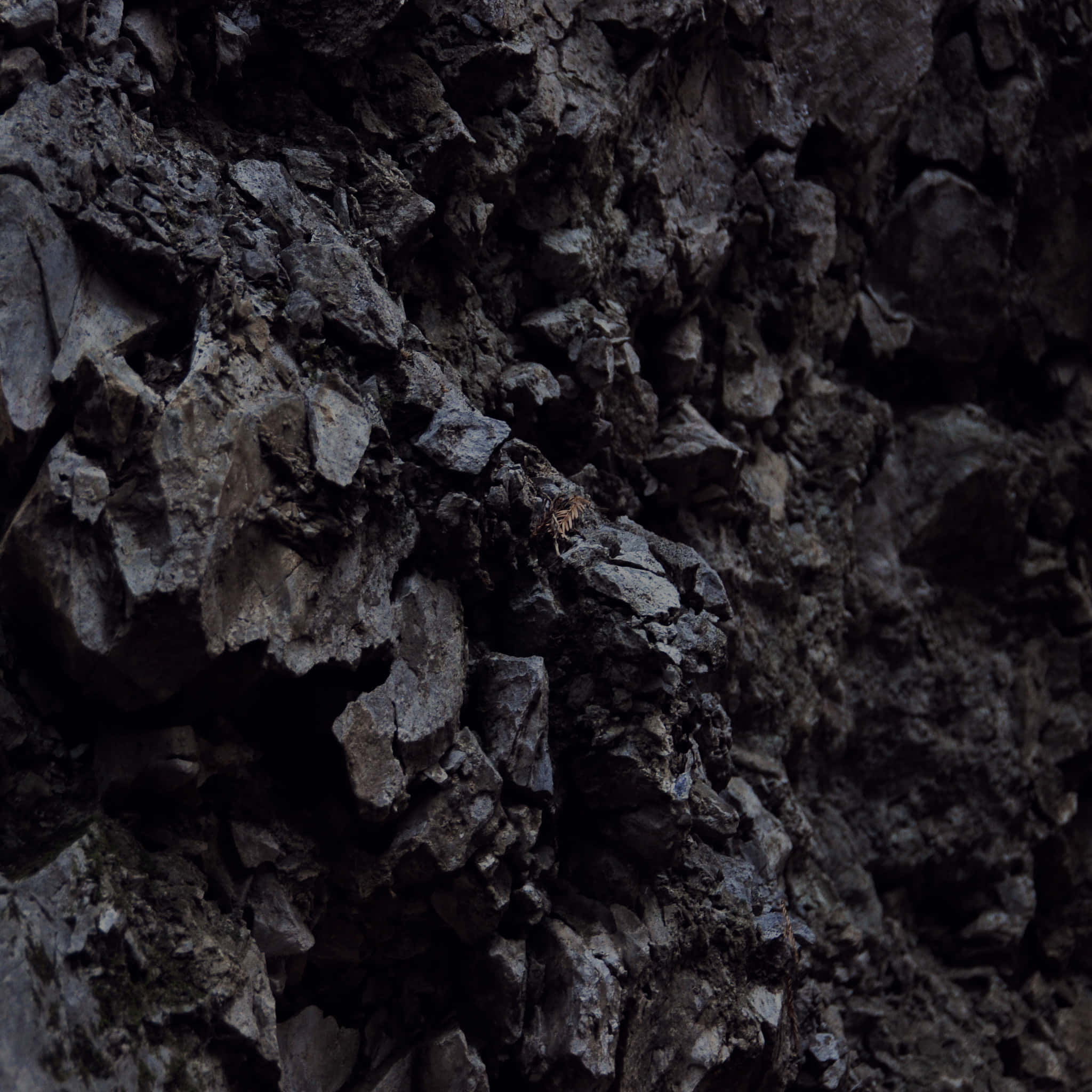 Dark Rock 桌布 壁紙 — 深灰色崎嶇岩層的特寫，一隻小蜘蛛棲息在鋸齒狀的表面上。