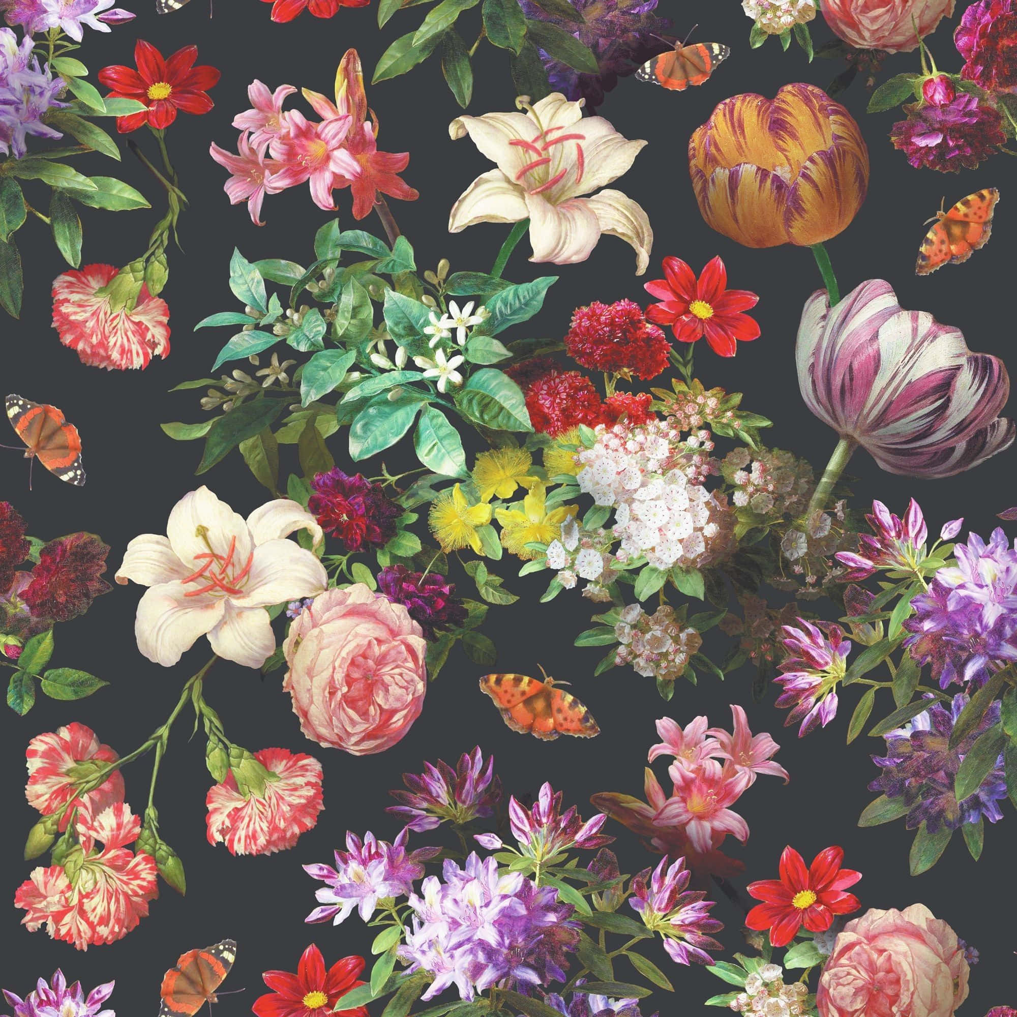Vintage Aesthetic Plant 桌布 壁紙 — 深炭灰色背景上，色彩繽紛的雜花束與翩翩起舞的蝴蝶。