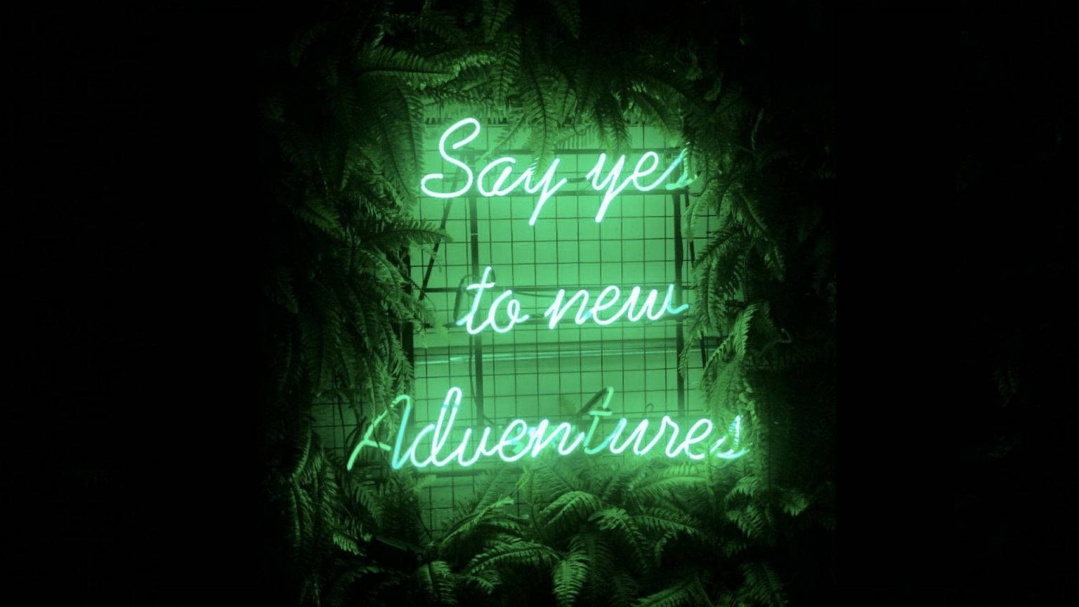 綠色霓虹燈牌寫著「Say yes to new Adventures」，在黑暗中由蕨類植物包圍。