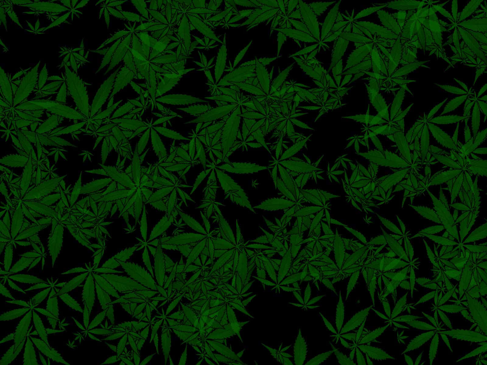 420 桌布 壁紙 — 深綠色大麻葉密集重疊在黑色背景上，形成大膽的有機圖案。