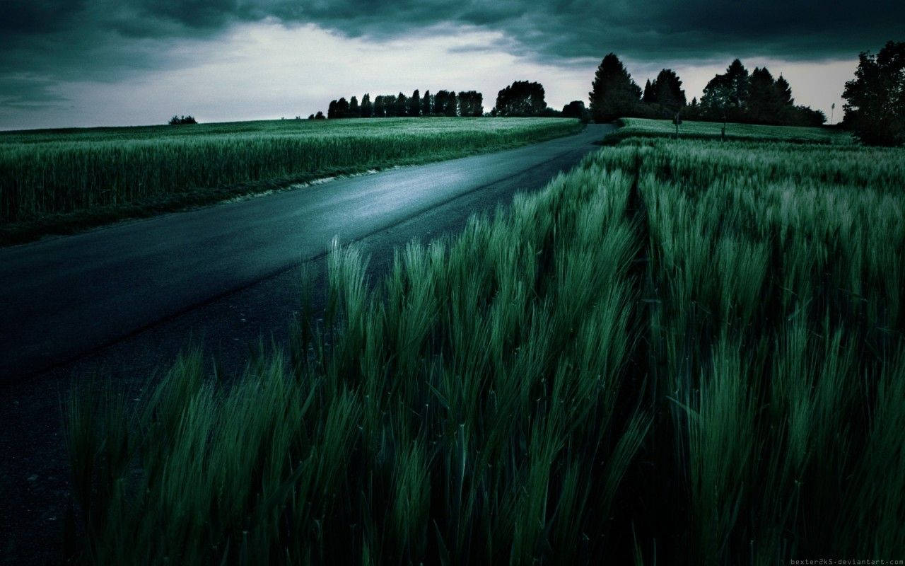 一條黑暗的道路穿過綠色田野，在暴風雨的天空下，遠處有樹木。
