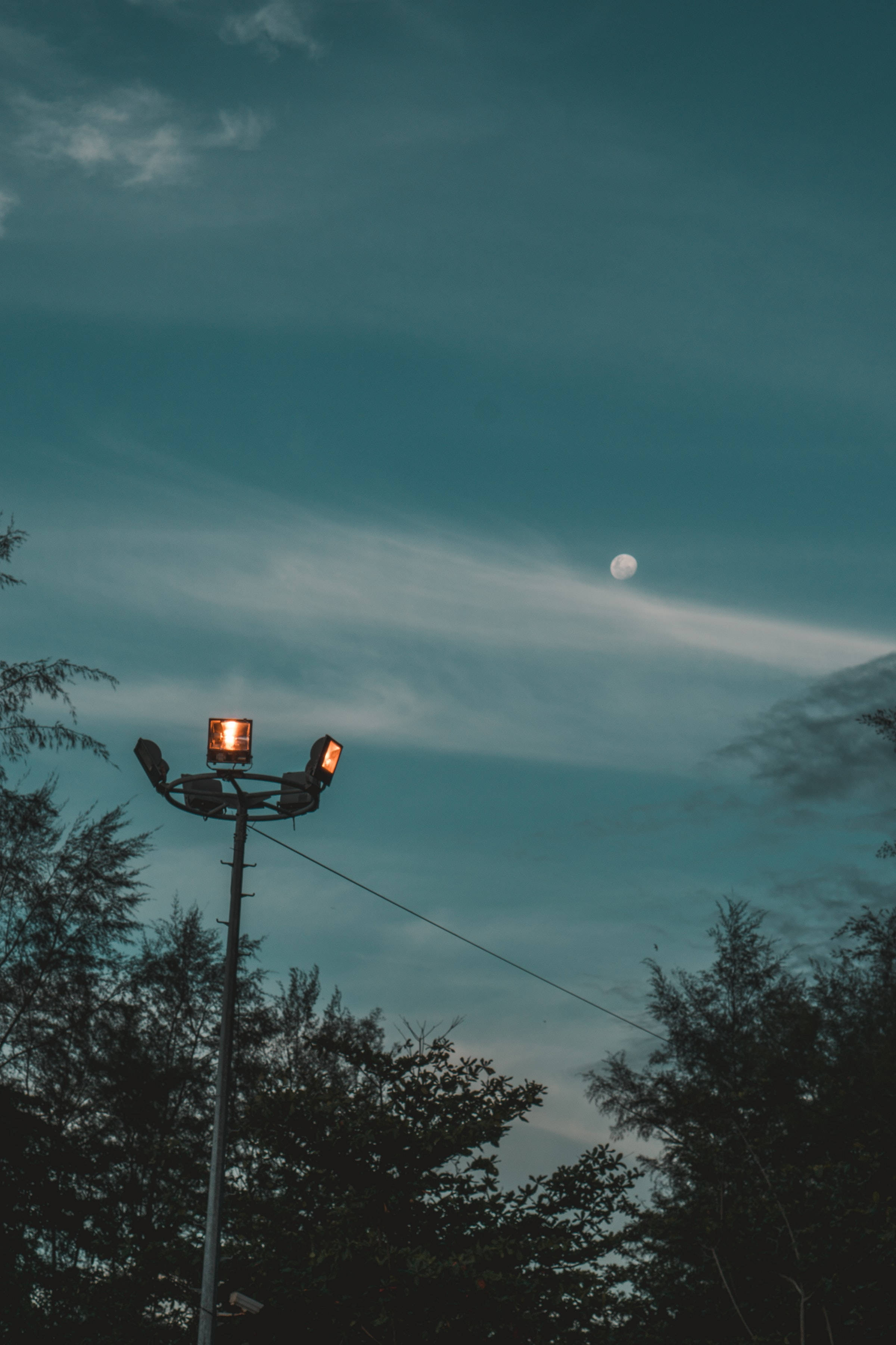 夜晚街燈亮起，背景有月亮和樹木