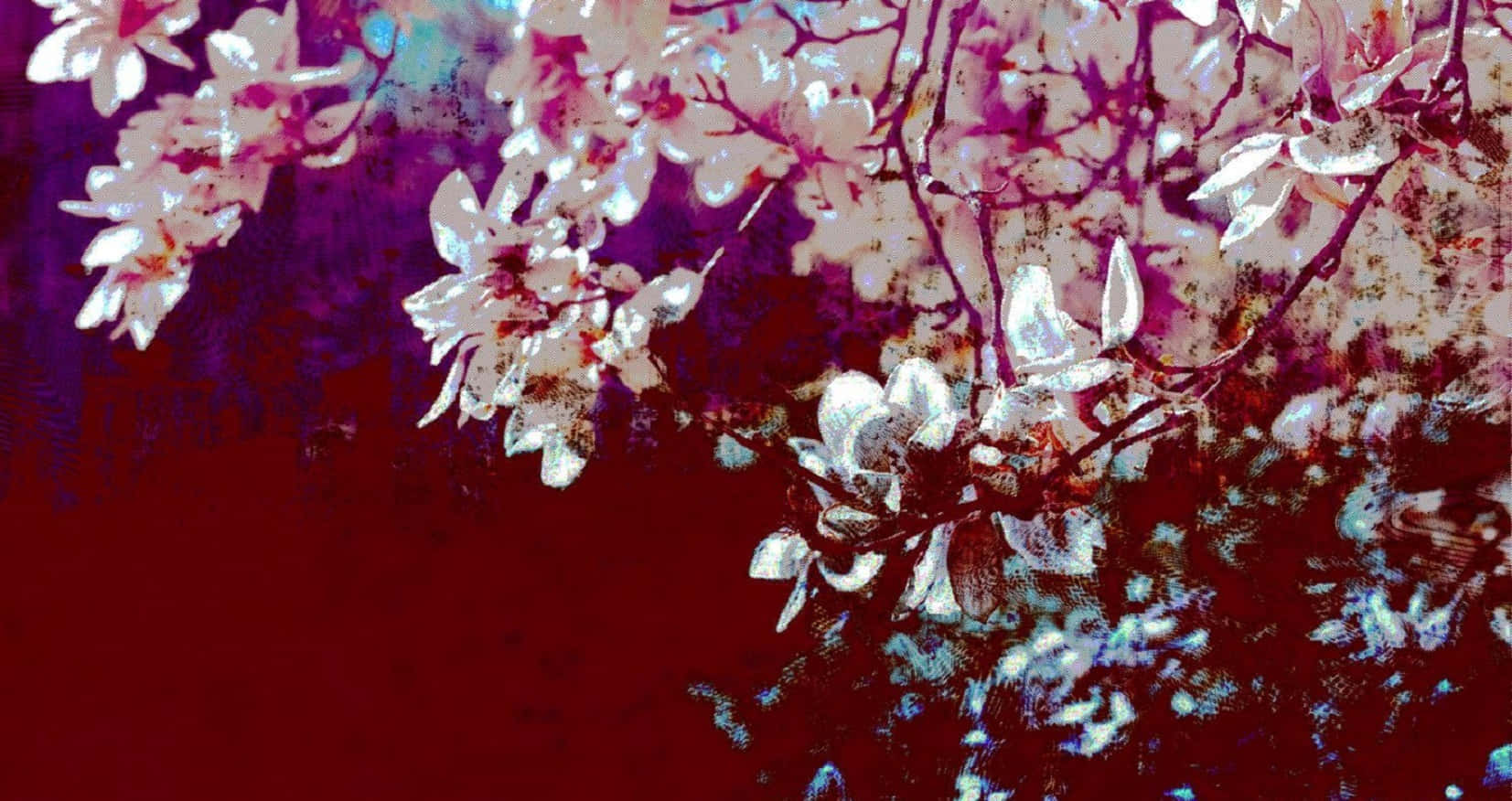 Cherry 桌布 壁紙 — 深色樹枝上盛開著精緻的白色花朵，背景為帶有紋理的深紅和紫色。