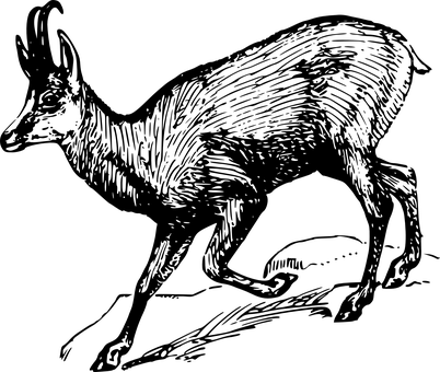 深色畫布上的孤星