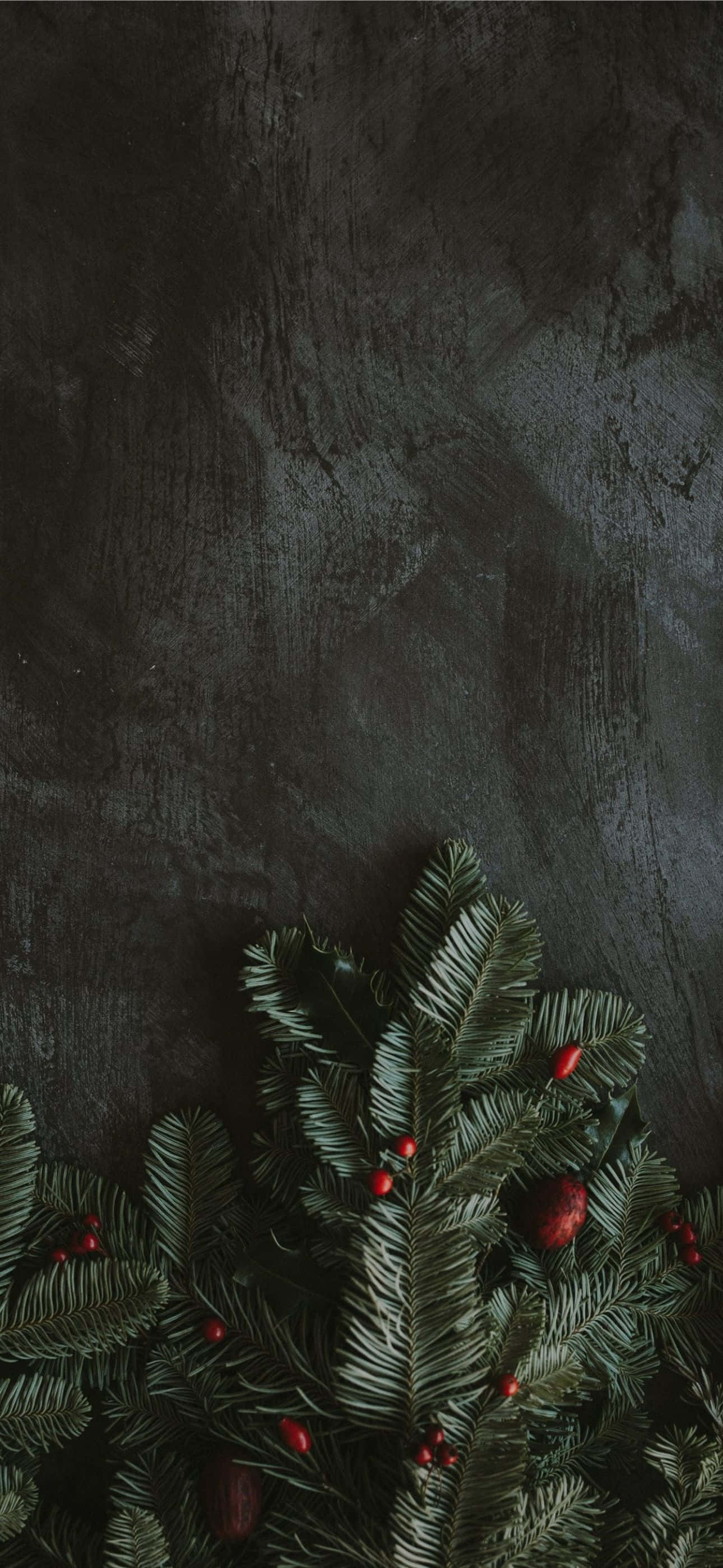 聖誕節 iPhone 桌布 壁紙 — 深色紋理牆壁背景，底部有茂密的綠色松樹枝和紅色漿果。