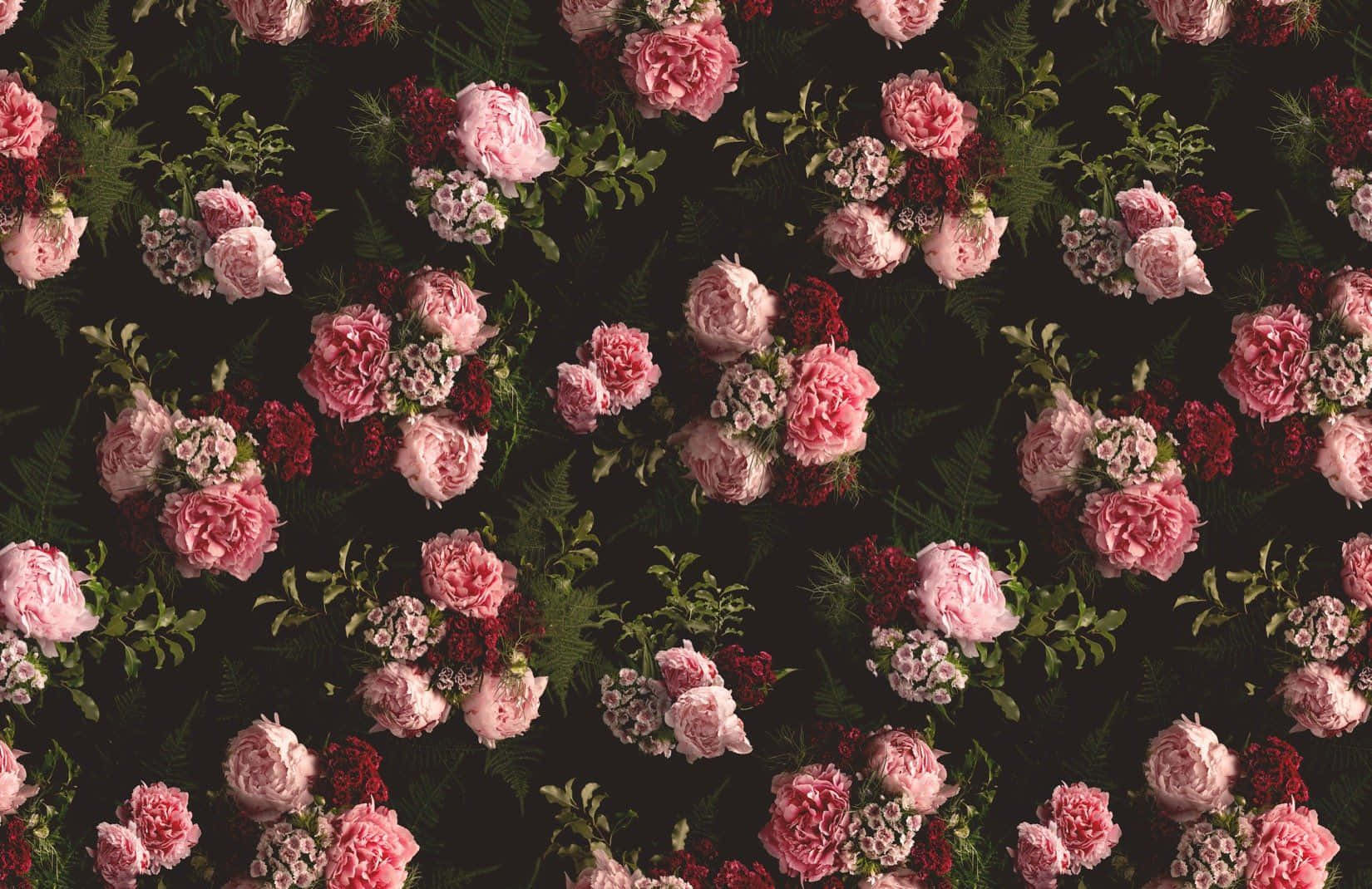 Rose Pattern 桌布 壁紙 — 深色背景上帶有粉紅玫瑰和深紅色花朵的豐盛花卉牆紙。