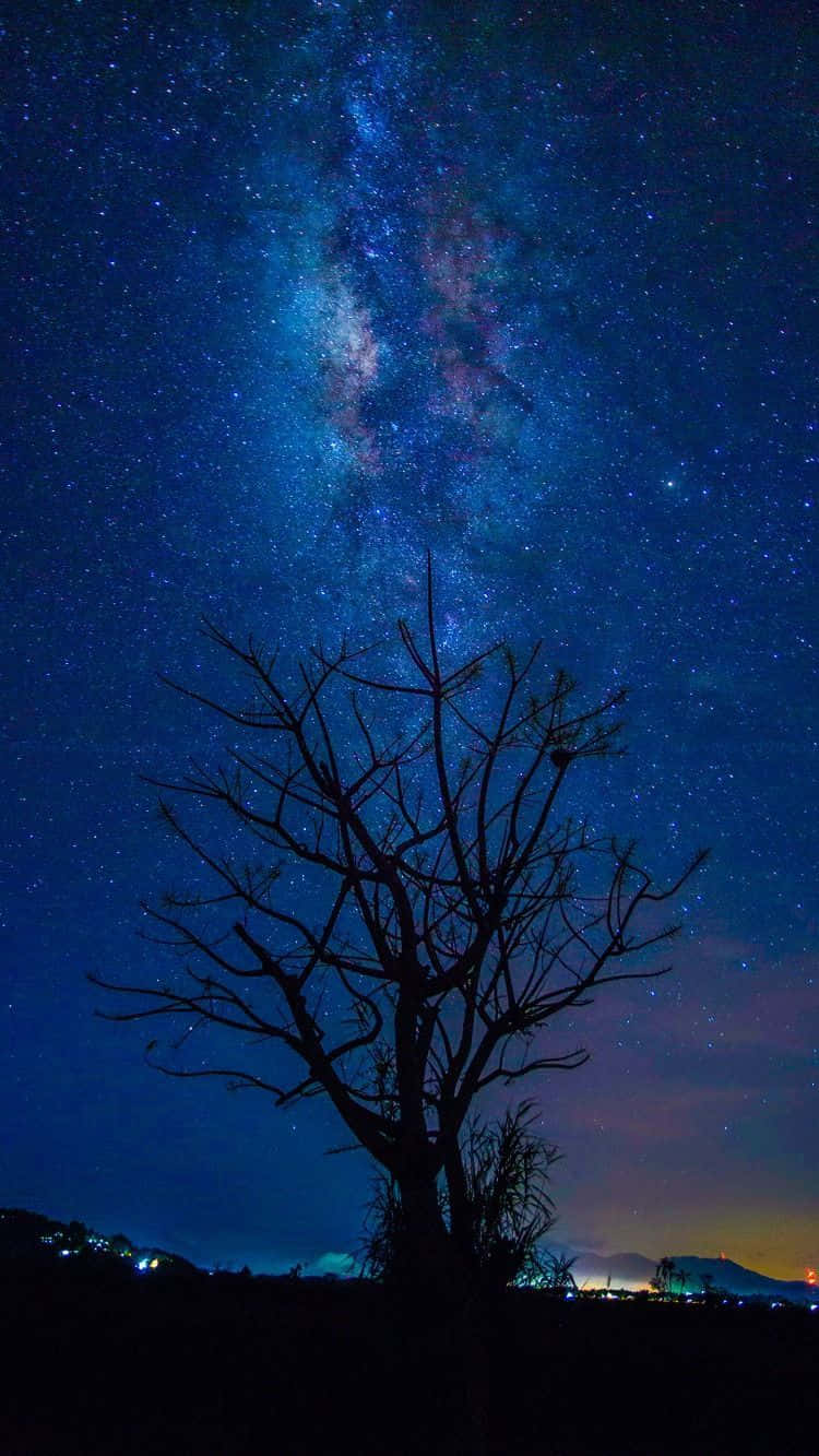 在星空夜空下，樹木剪影，銀河可見。