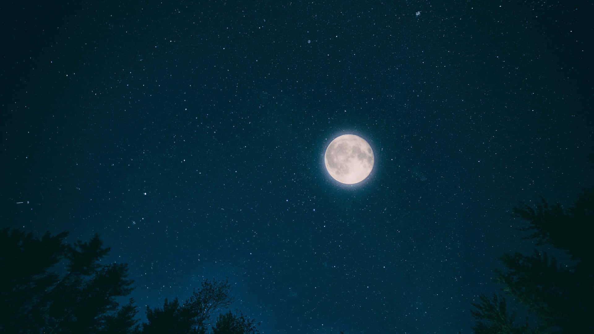 滿月在星空下的樹木剪影上方閃耀。