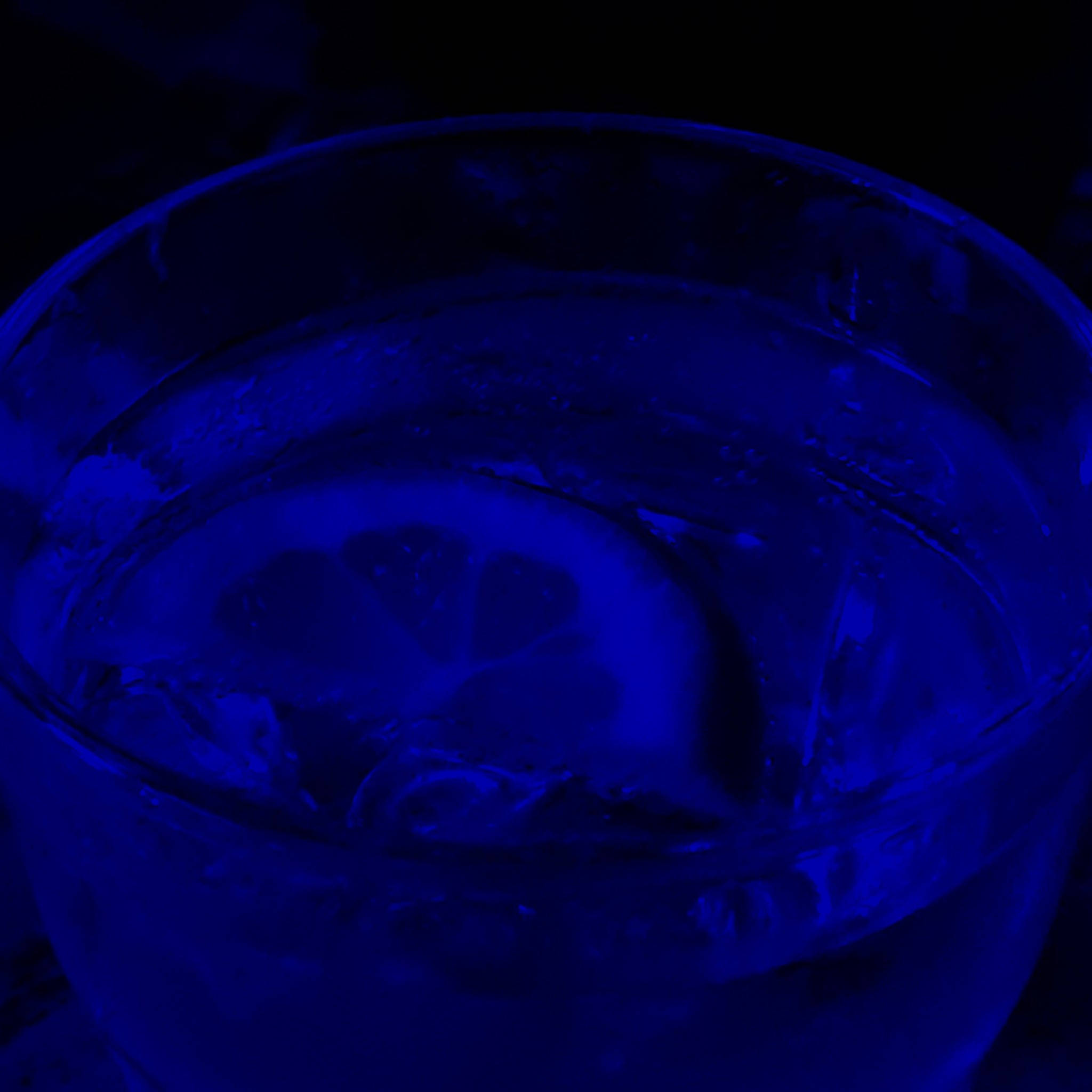 深藍美學龍舌蘭酒 壁紙 — 特寫鏡頭：一杯加冰和檸檬片的玻璃飲品，在深藍色燈光下，襯托著深色背景。