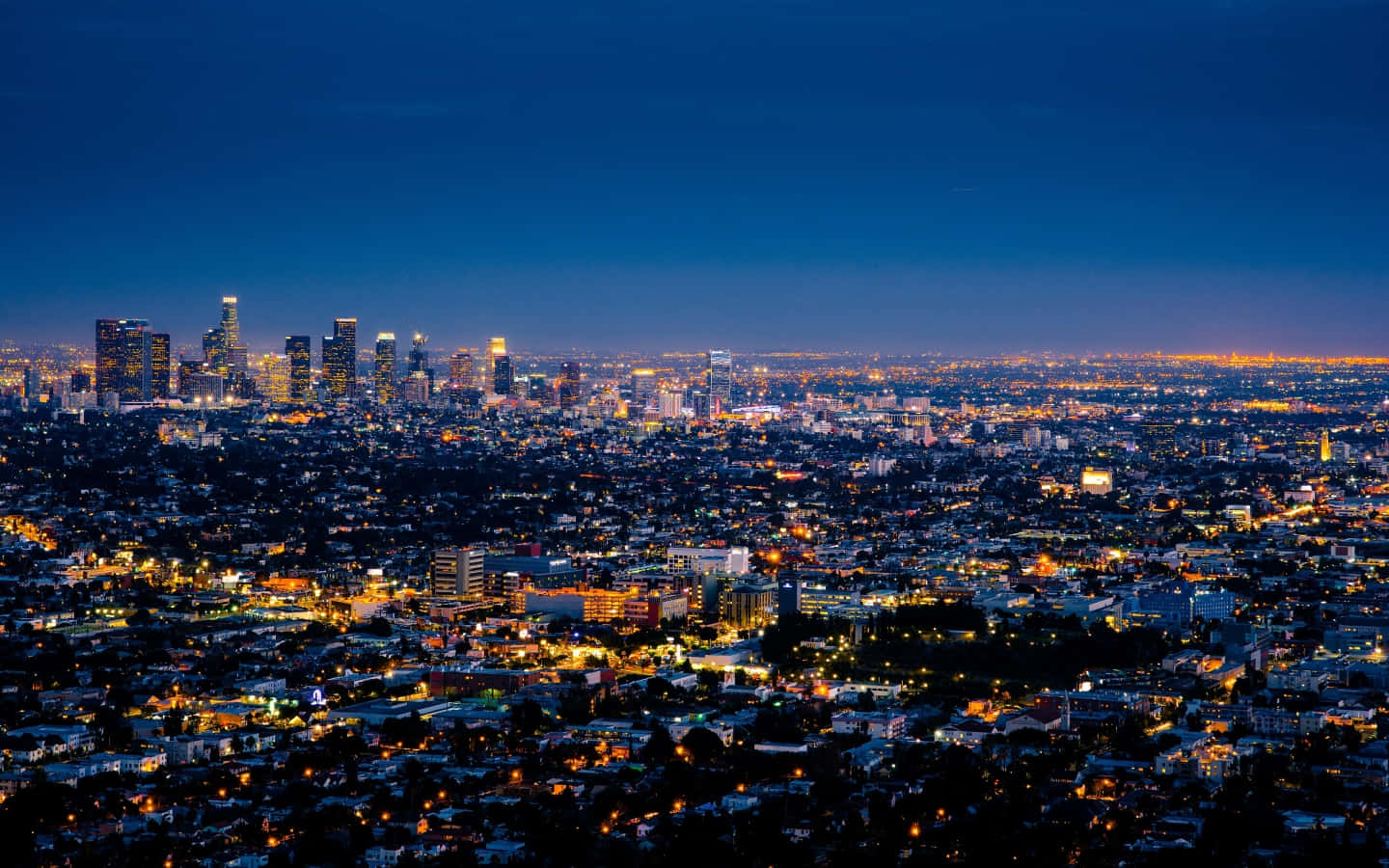 La 桌布 壁紙 — 深藍色天空下，廣闊的城市夜景，閃爍的摩天大樓和住宅區。