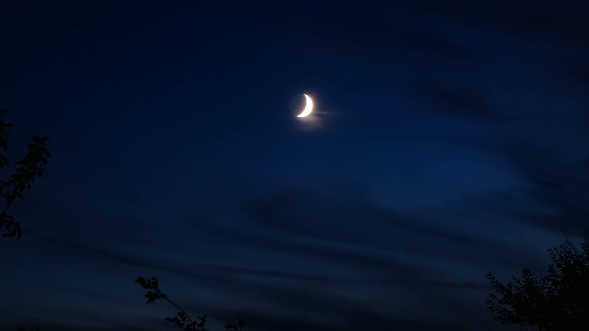 深藍色夜空中發光的月牙與樹木剪影