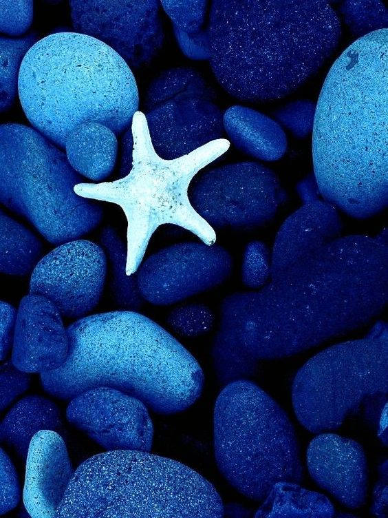 藍色鵝卵石上的白色海星