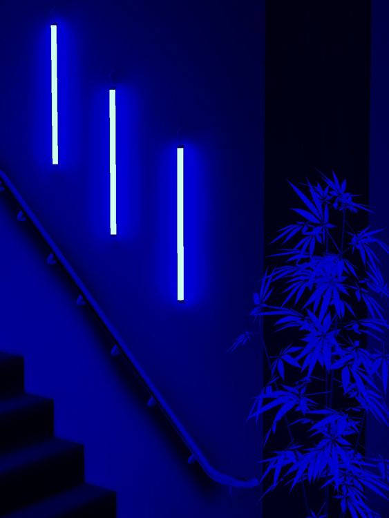 藍色霓虹燈照亮咗一條樓梯同竹植物，喺一個黑暗嘅現代室內空間。