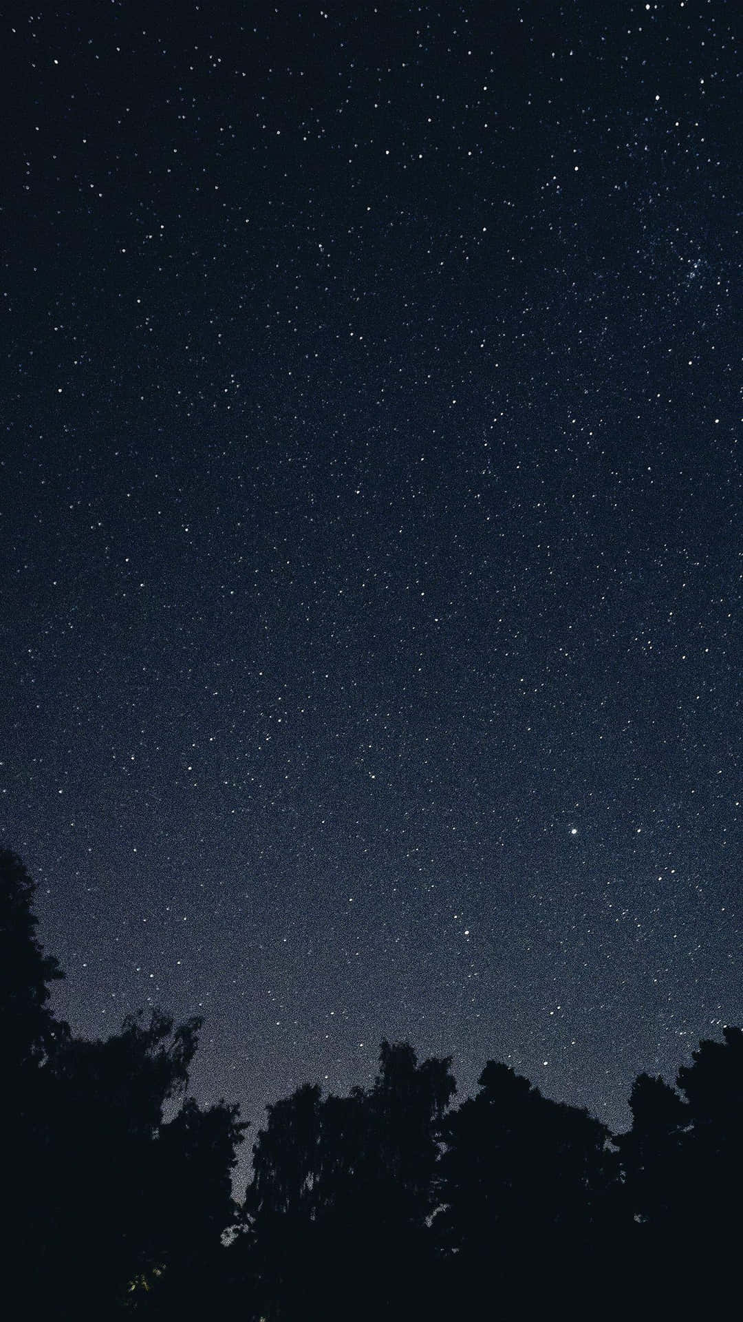底部有樹木剪影的星空。