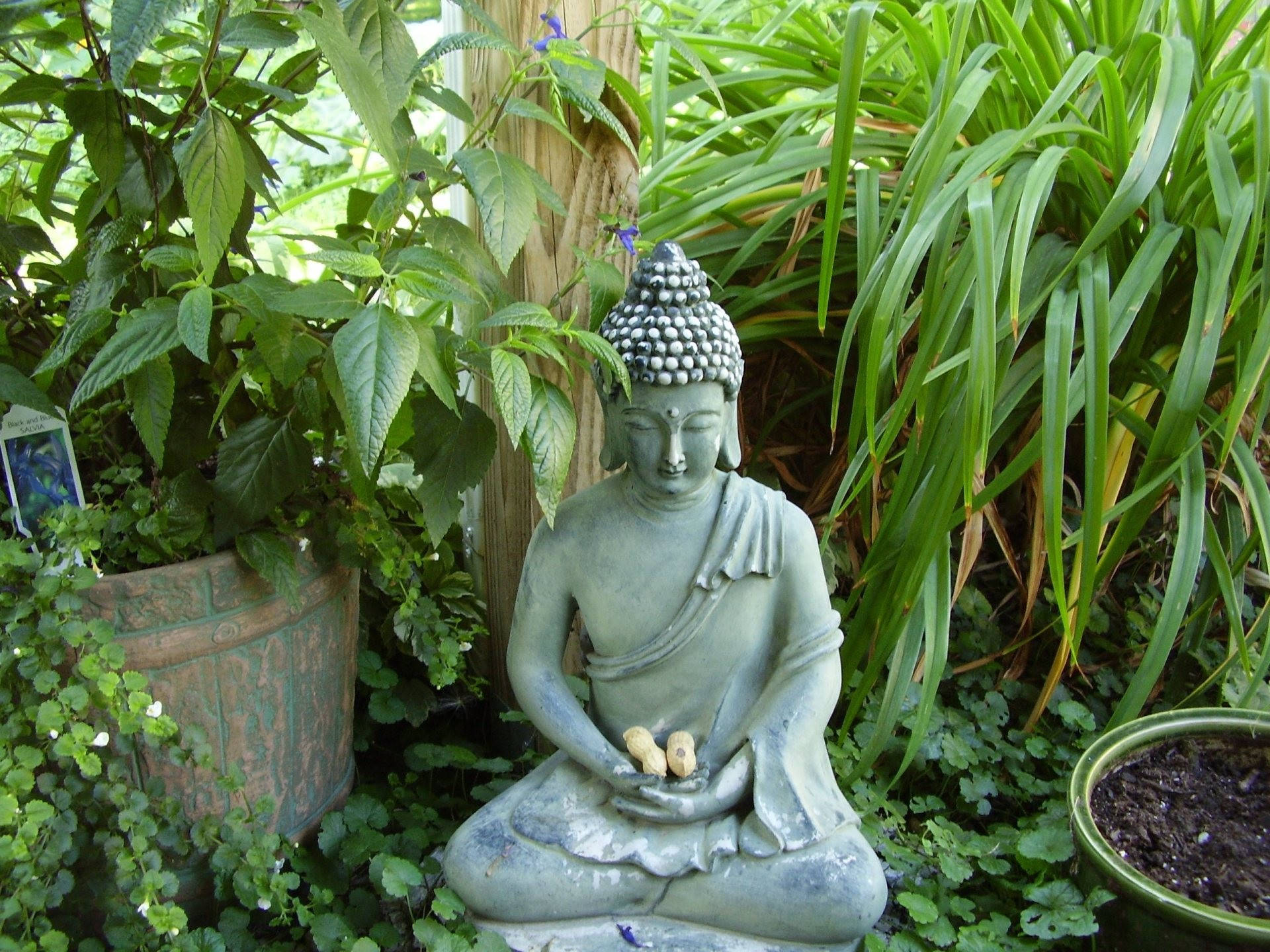 混凝土佛像 HD 壁紙 — 一尊寧靜的灰色佛像在茂密的綠色花園中盤腿而坐，周圍環繞著盆栽植物和樹葉。