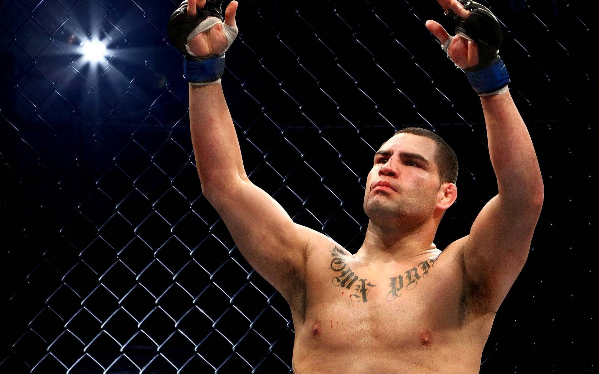 混合格鬥選手 Cain Velasquez 壁紙 — 一位勝利的綜合格鬥選手在昏暗的八角籠內，於明亮的聚光燈下高舉戴著手套的拳頭慶祝勝利。
