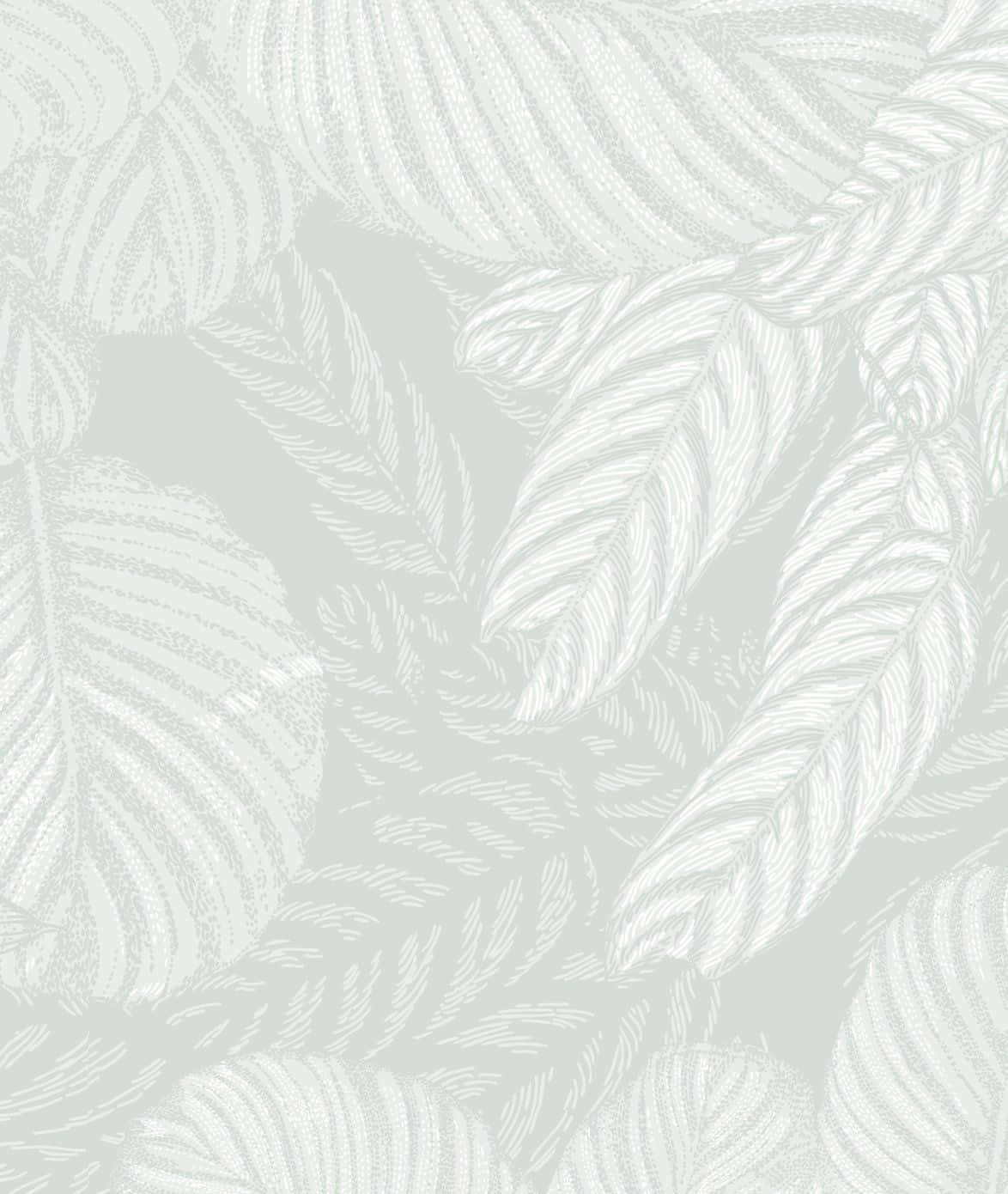 淺灰色背景上帶有白色熱帶葉子圖案的牆紙。 — 鼠尾草綠 壁紙